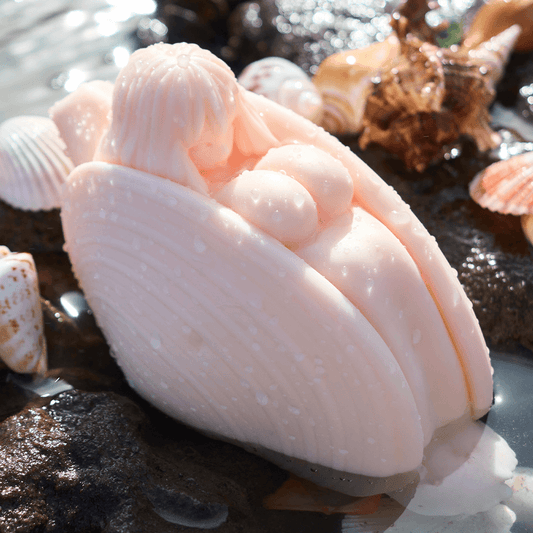 Bella:Male Masturbator Pocket Pussy Seashells Girls